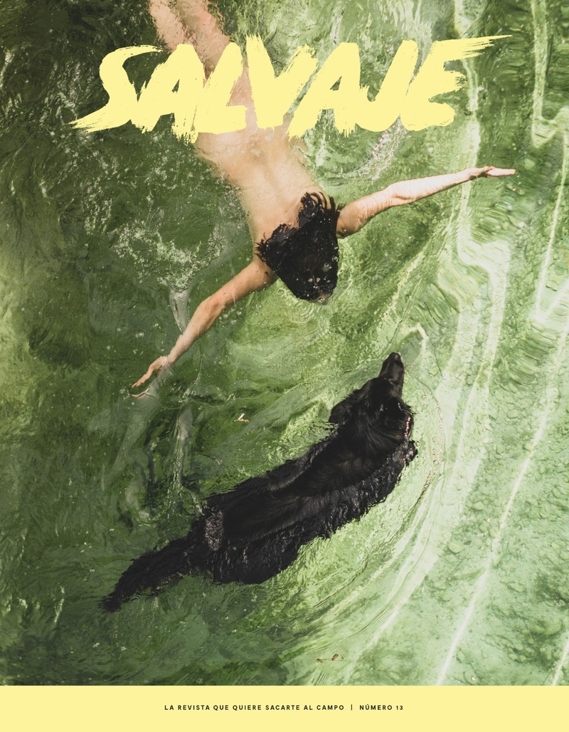 REVISTA SALVAJE 13: portada