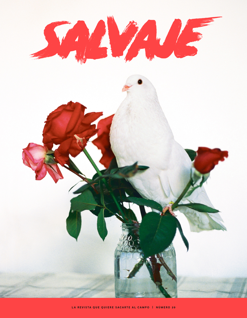 REVISTA SALVAJE 20: portada