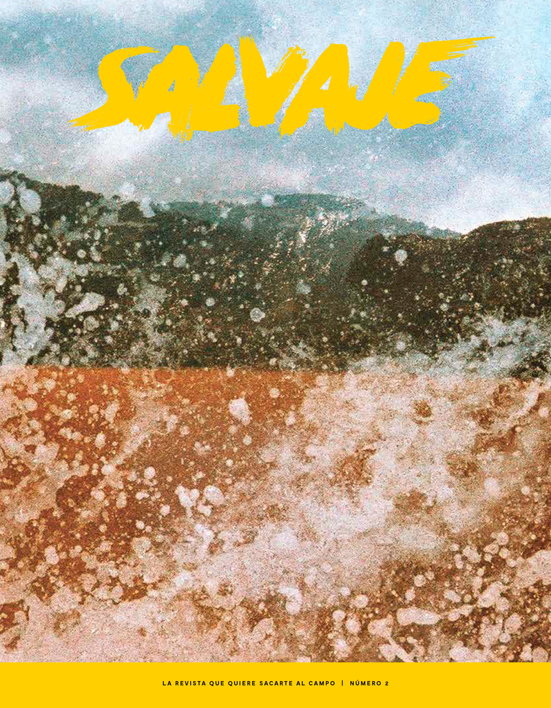 REVISTA SALVAJE 2: portada