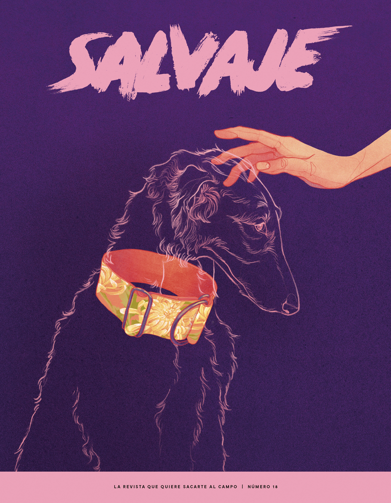 REVISTA SALVAJE 18: portada