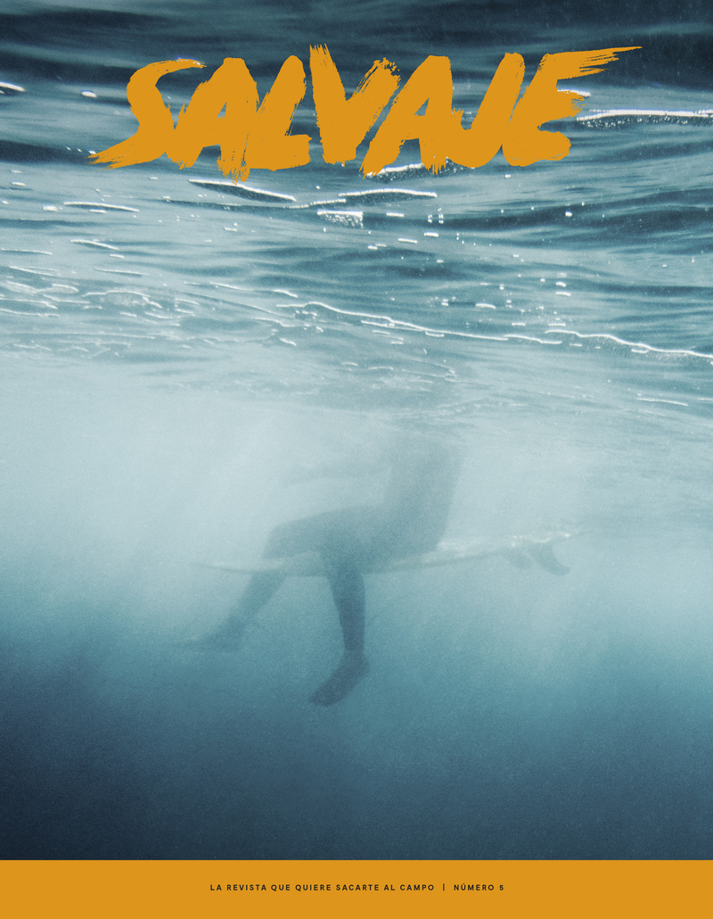 REVISTA SALVAJE 5: portada