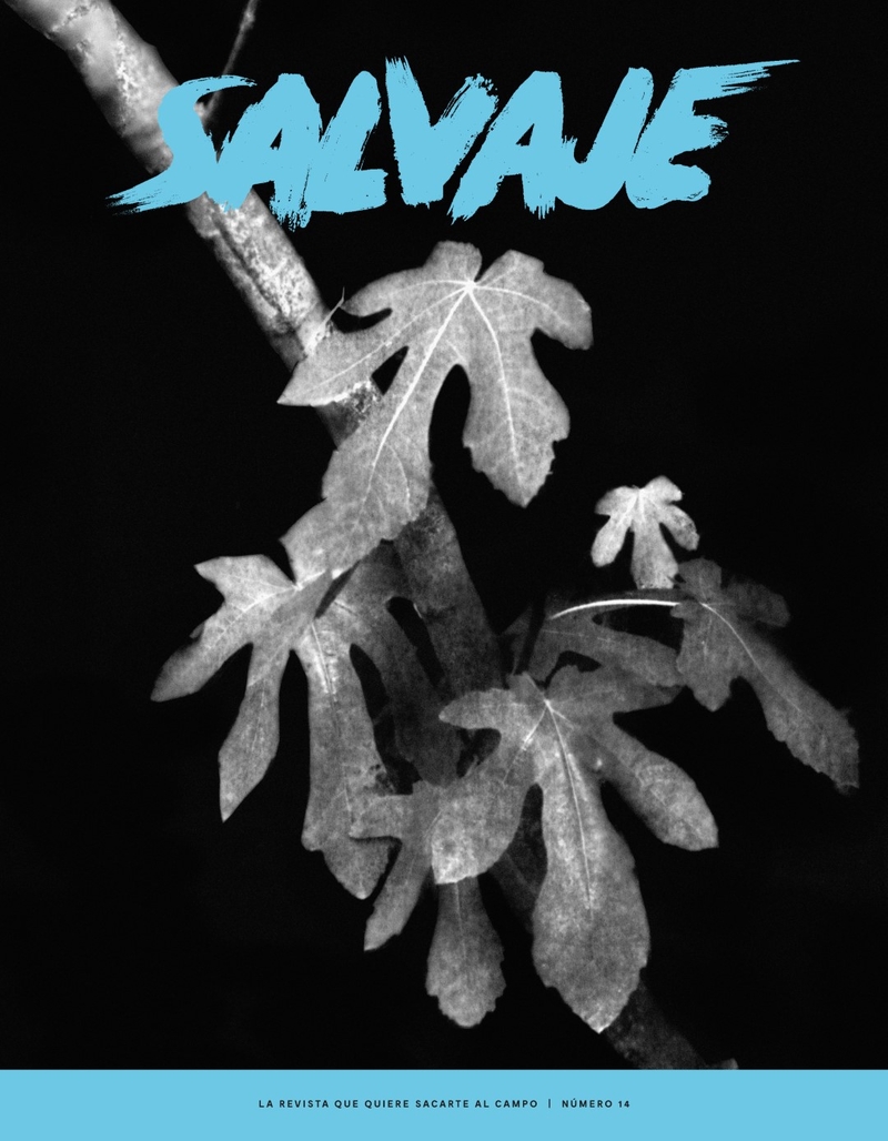 REVISTA SALVAJE 14: portada