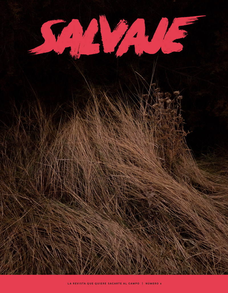 REVISTA SALVAJE 6: portada