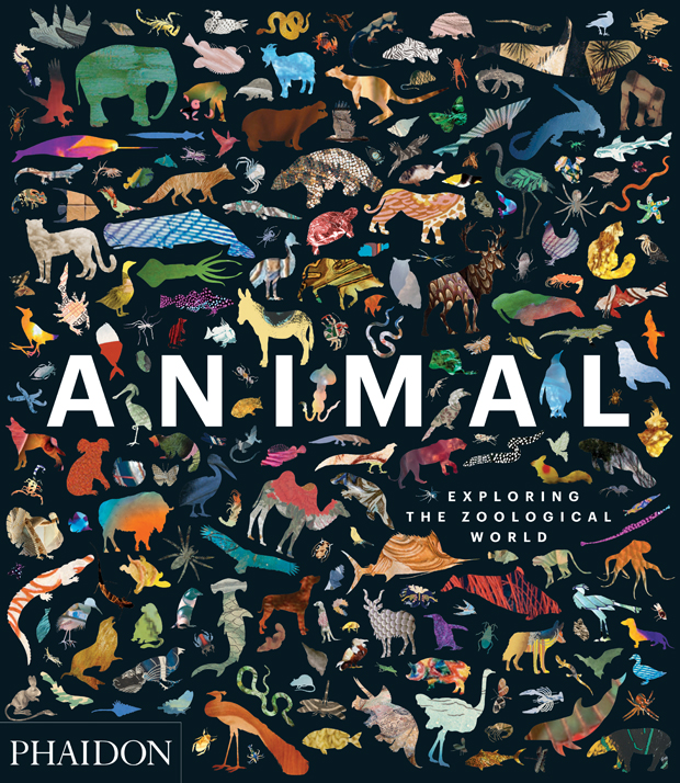 ANIMAL EXPLORING THE ZOOLOGICAL WORLD: portada