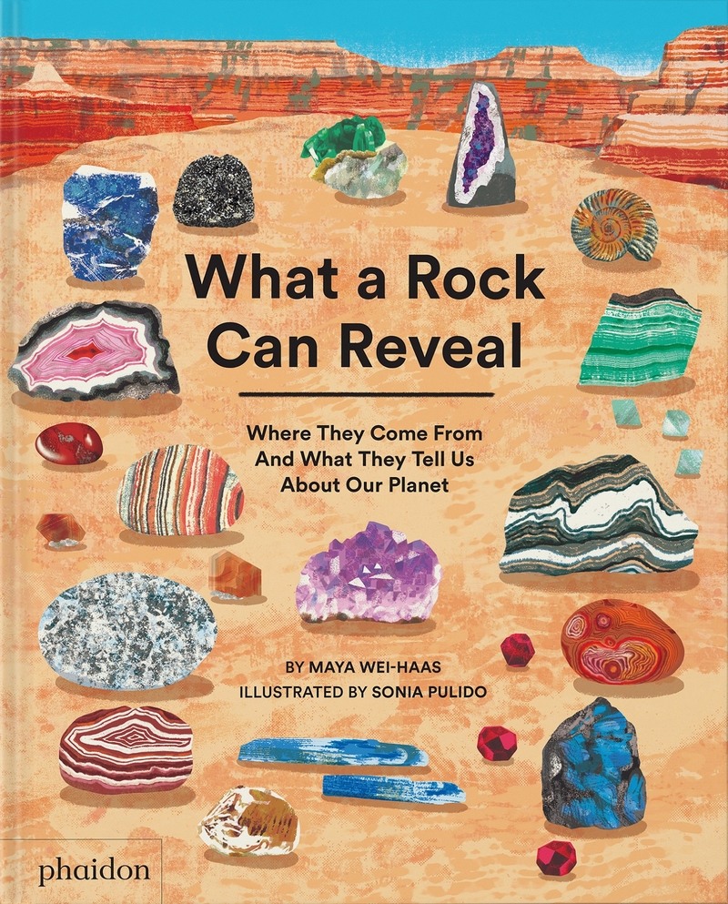 What a Rock can Reveal: portada