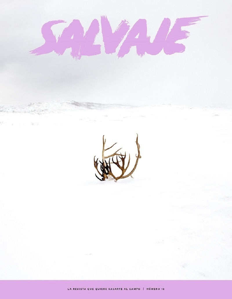 REVISTA SALVAJE 15: portada