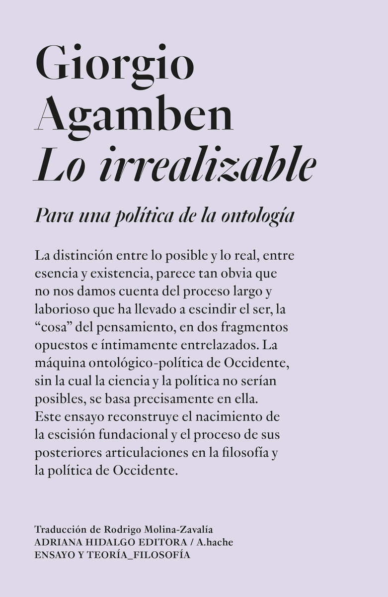 Lo irrealizable: portada