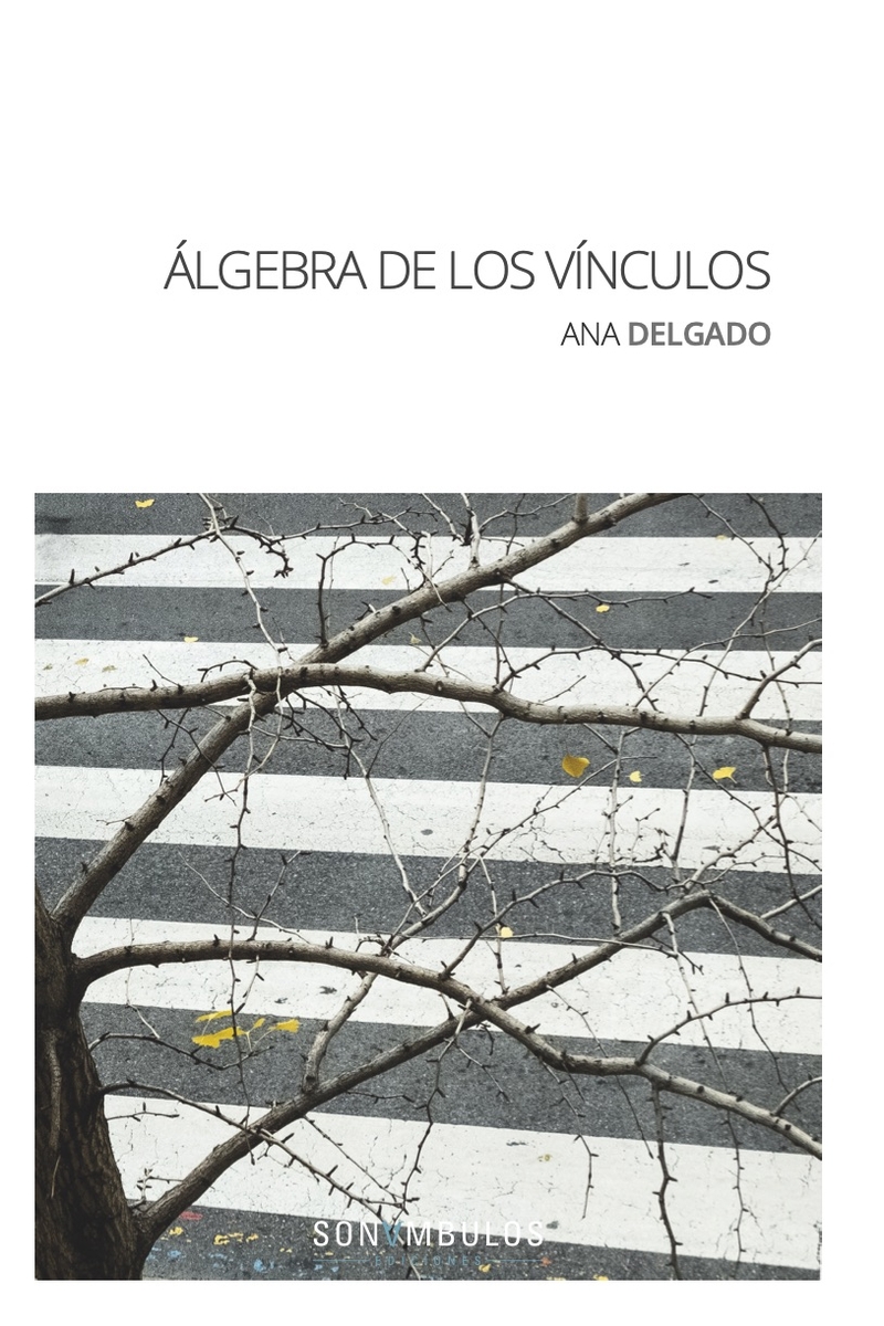 LGEBRA DE LOS VNCULOS: portada