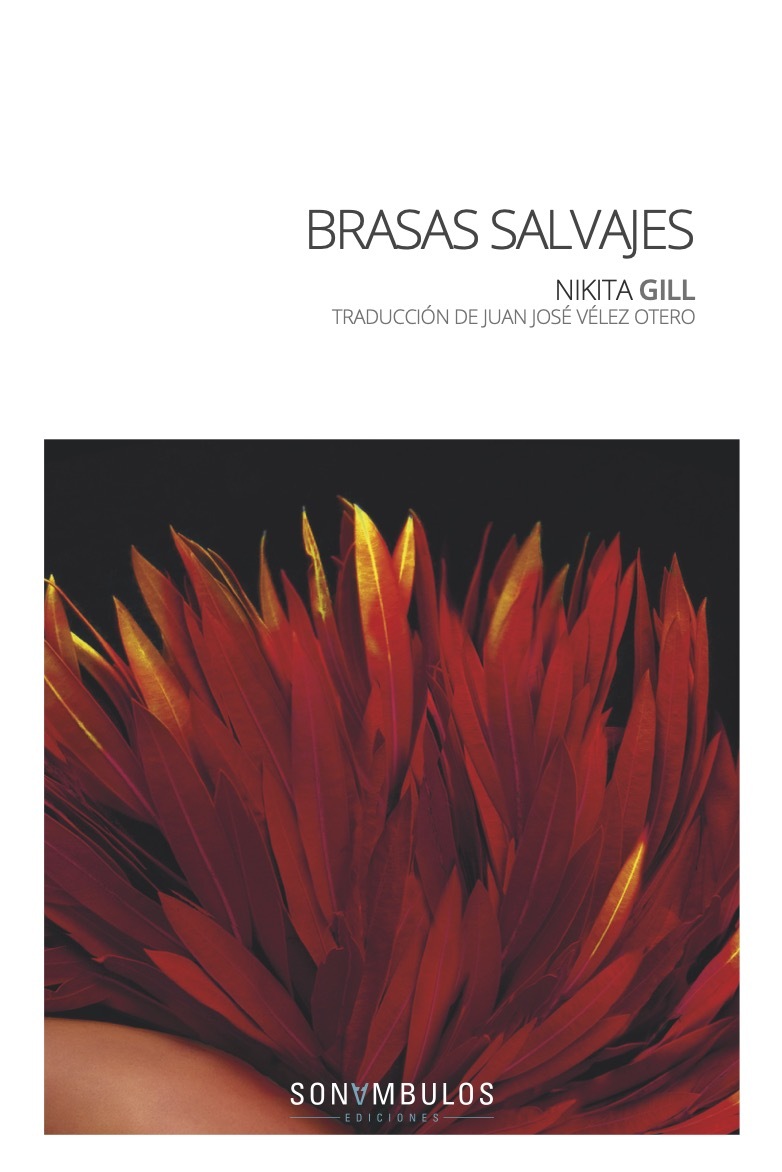 BRASAS SALVAJES: portada