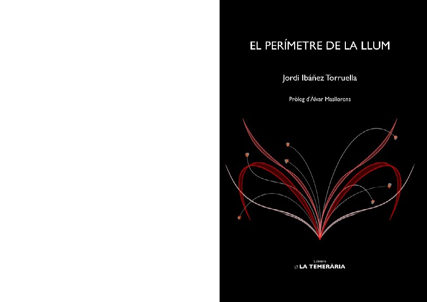 El permetre de la llum: portada