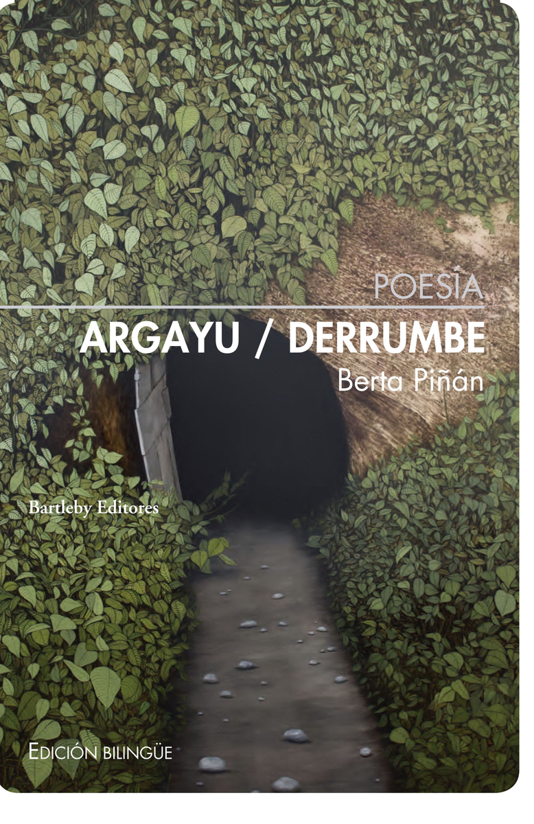 Argayu/Derrumbe: portada