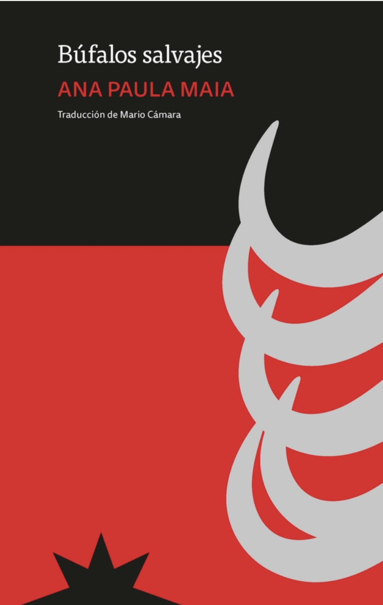 Búfalos salvajes: portada