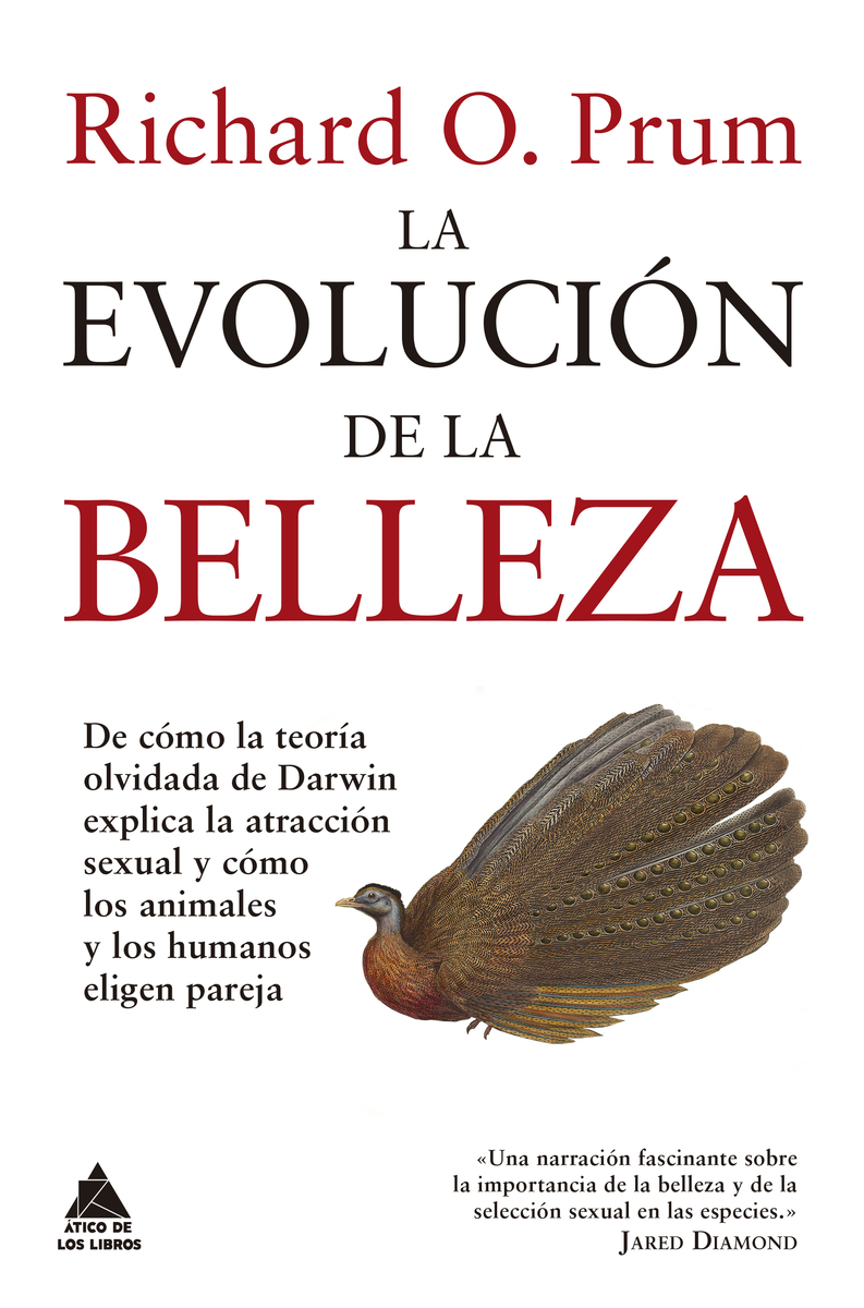 La evolucin de la belleza: portada