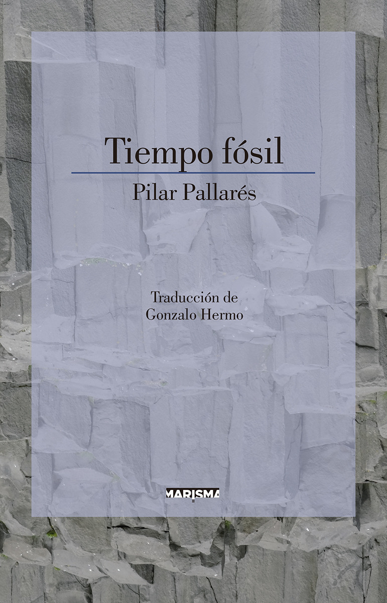 Tiempo fsil: portada