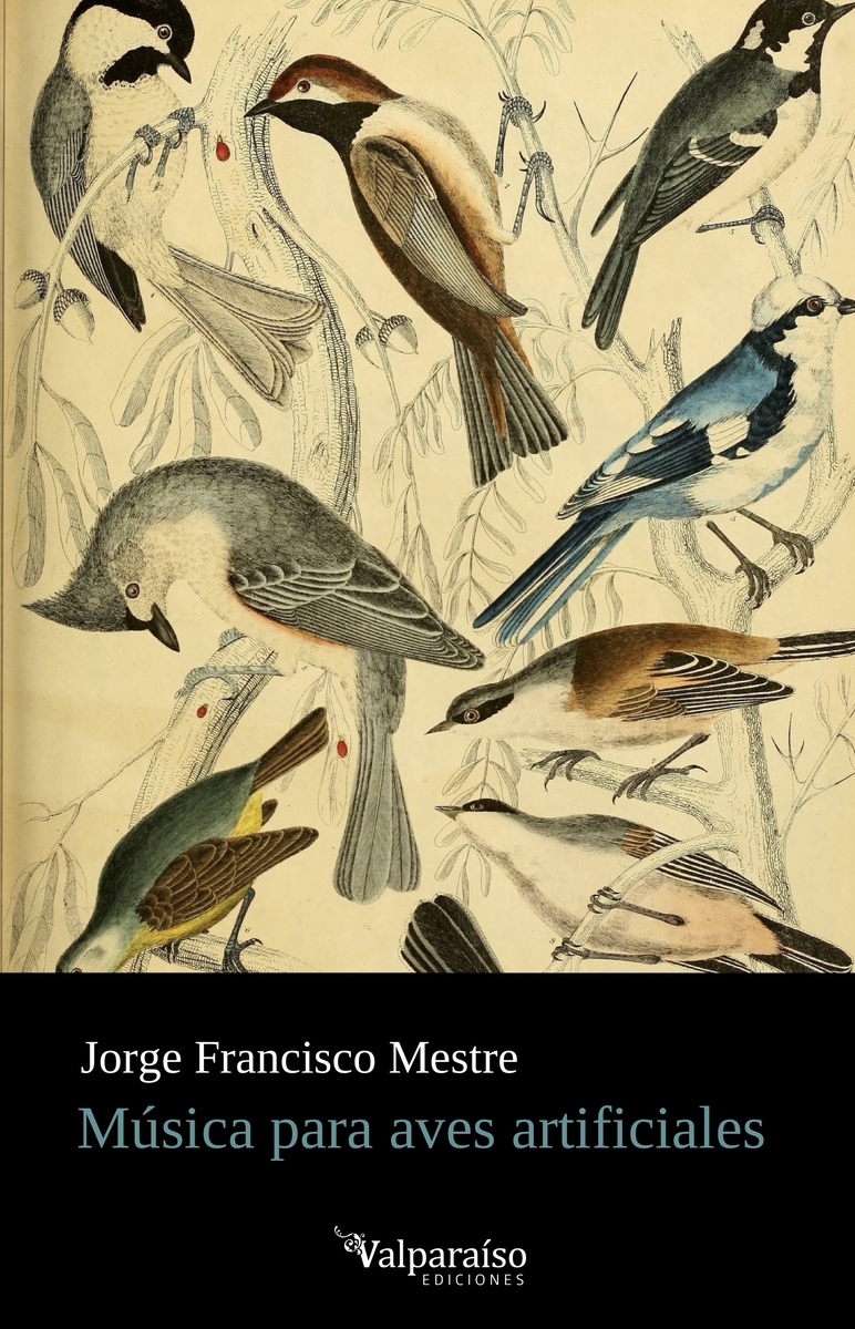 MSICA PARA AVES ARTIFICIALES: portada