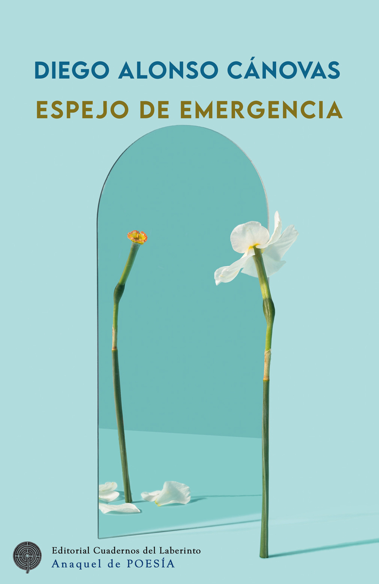 Espejo de emergencia: portada