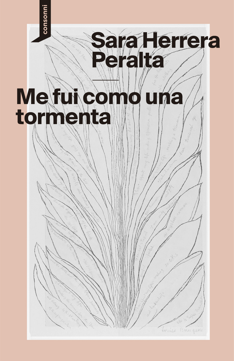 Me fui como una tormenta: portada