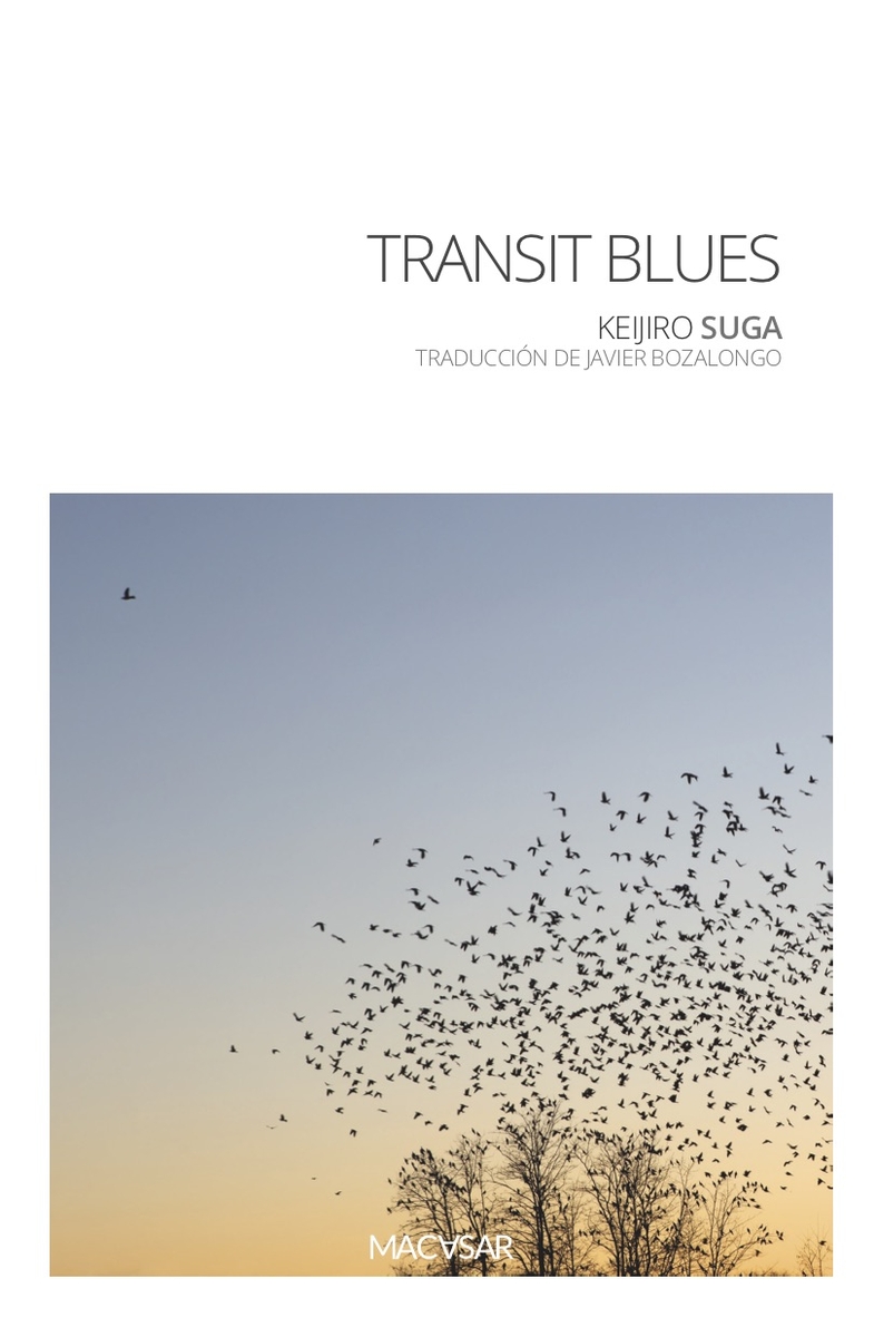 TRANSIT BLUES: portada