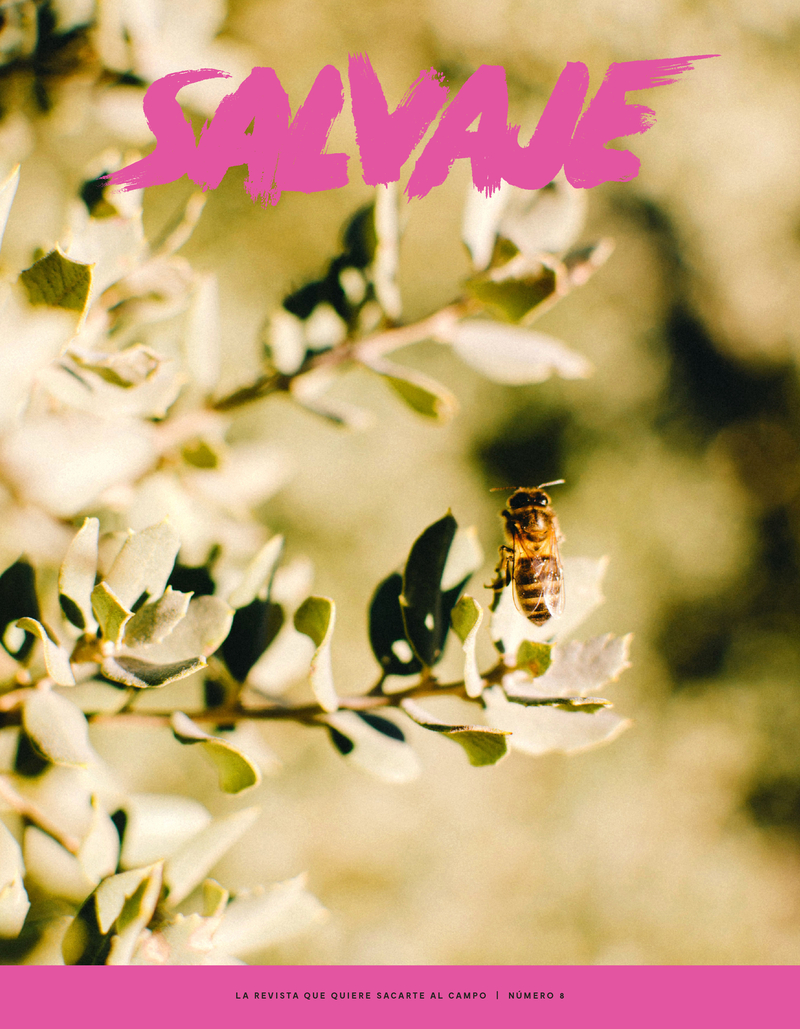 REVISTA SALVAJE 8: portada