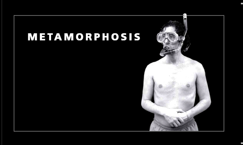 METAMORPHOSIS: portada